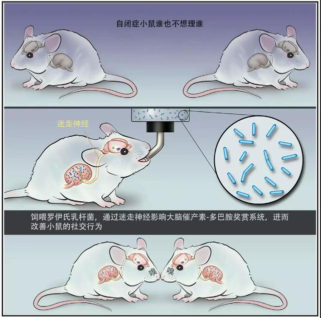 小白鼠实验卡通图片